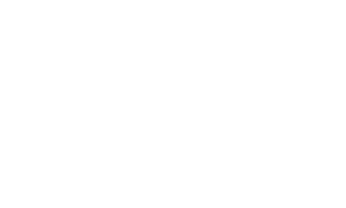 Bullet Agency